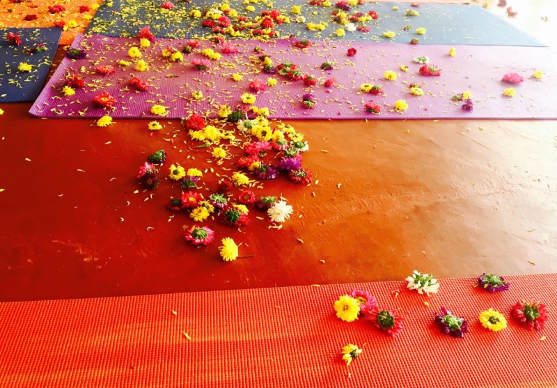 Yogalehrerausbildung Trimurti Yoga Goa